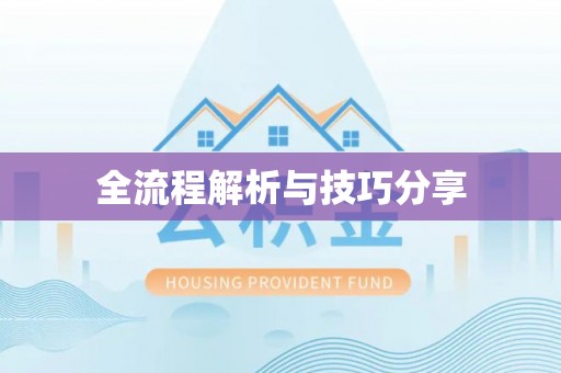 青云谱全流程解析与技巧分享
